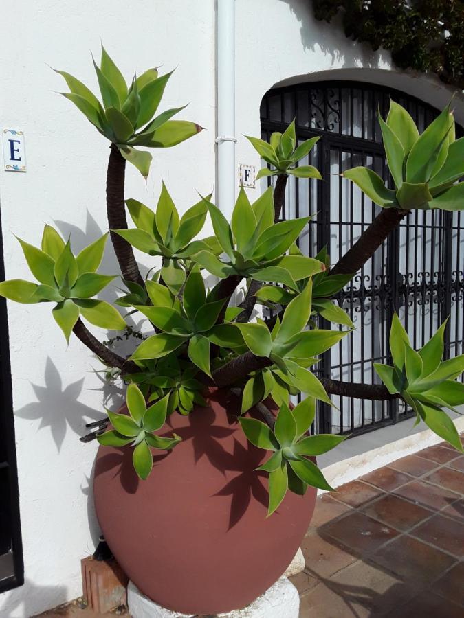 Apartment Dona Lola , Luminoso Calahonda, Mijas *